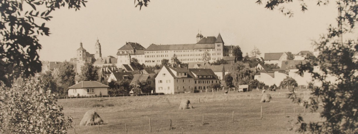 Günzburg Historischer Verein